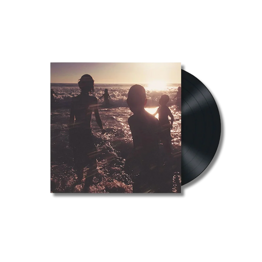 VINYLE ONE MORE LIGHT
